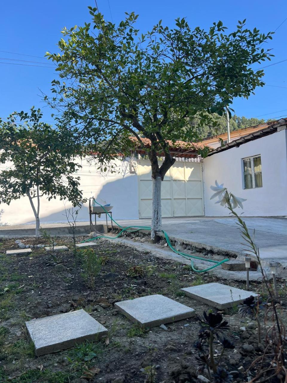 Berat Private Room In Haxhialiu Villa Экстерьер фото